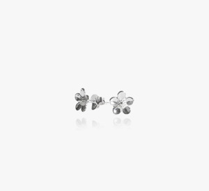 Evolve Earrings: Evolve Sterling Silver Manuka Vitality Stud Earrings