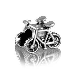 Evolve Stg silver Mountain Bikes Charm