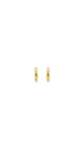 Gold Earrings: Huggie Earring in 9ct Yellow Gold