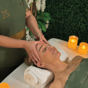 Products: Signature Massage for 1 - Thai Touch Massage Therapy
