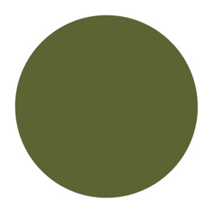 Shelf for Ernest Locker