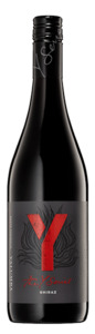 Frontpage: The Y Series Shiraz 2024 6-pack