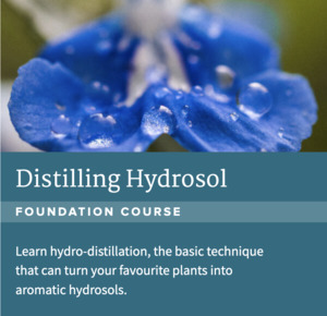 Distilling Hydrosol Course