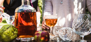 Distilling Alcohol – The Alembics Lab