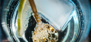 Gin Immersion – The Alembics Lab
