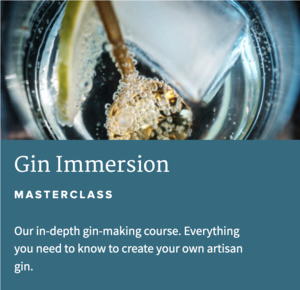Gin Immersion Course