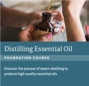 Distilling Essential Oil Course