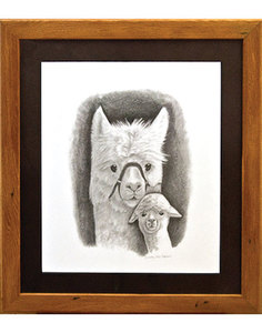 Products: Dam and Cria - The Alpaca Company
