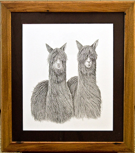 Two Suri - The Alpaca Company