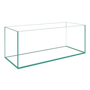 Aquascaping Essentials Ultra Clear Rimless Aquarium – 540L (150x60x60cm, 15mm Glass)