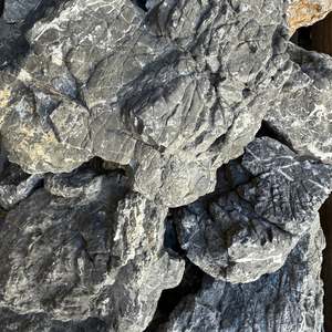 Turtle Vein Stone
