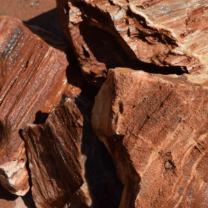 Stones: Red Petrified Wood Stone
