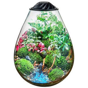 Terrariums: Chihiros ECO Ping