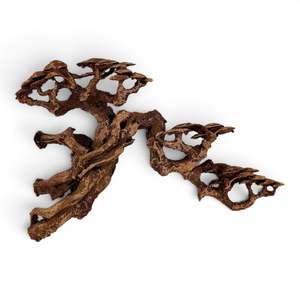 Twin Canopy Resin Bonsai Tree