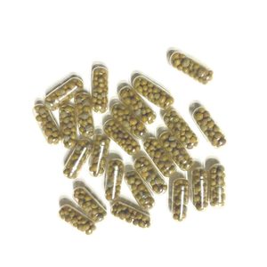 Freshwater Aquarium Plant Care: Osmocote Root Fertilizer