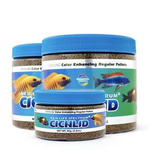 New Life Spectrum: New Life Spectrum Cichlid