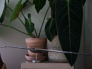 Phil Hannagan: Toroa