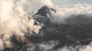 Troy Tanner: Mount Danger