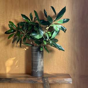 Beeswax Vase Collection: Large Beeswax Vase