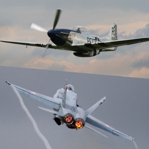 Products: 20 MIN FLIGHT SESSION The Aviator Experien