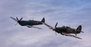 Products: FIGHT CLUB MEMBERSHIP The Aviator Experien