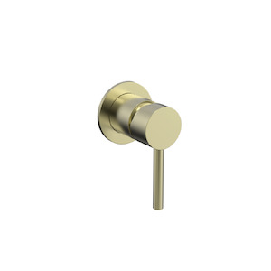 Wall Mixers: Evoke Shower/Bath Mixer | Brushed Brass