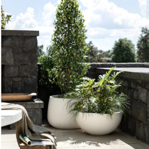 Planters Pots: AWATERE CONCRETE PLANTER | 3 COLOURS & SIZES