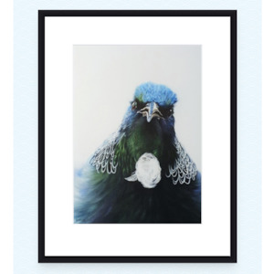 Nz Made: THE TALKATIVE TUI | CONTEMPORARY FRAME WITH MATT BOARD & GLASS | JANE CRISP | NZ MADE