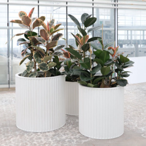 PIAKO RIBBED CYLINDER PLANTER | 3 SIZES | WHITE
