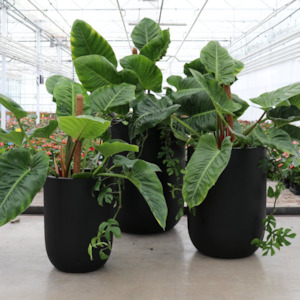 ORETI BLACK PLANTER | 3 SIZES