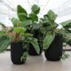 Oreti Black Planter | 3 Sizes