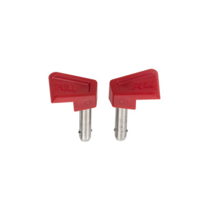 Thoracic Pins DBX GPX 3.5 - Pair