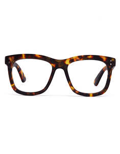 Reading Glasses: 11am | Brown Tort | Reading Glasses