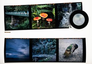 Category: Darkroom & Home Processing – Page 8 – The Black and White Box