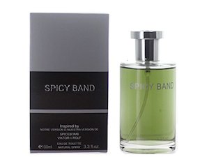 Dupe for Viktor & Rolf Spicebomb - Spicy Band 100mL