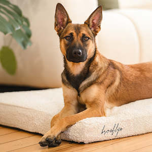 dog: Brooklyn® Chew Resistant Boucle Cover