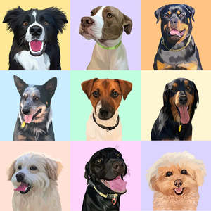 Under 50: FREE Pet Portrait