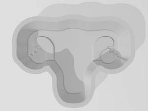 R18 Adults Only: Uterus Hybrid Bath Bomb Mould
