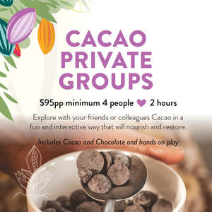 Products: Cacao private Groups 2 hours