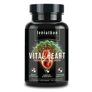 Health Management: Vital Heart // Cardiovascular Health