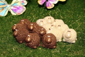 Products: Wee Sheep 6 Pack - The Chocolate Room