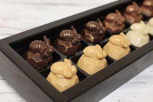 Honey Chocolates 12 Pack - The Chocolate Room