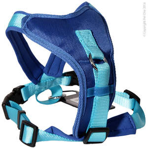 dogwalking: Pet One Harness - Comfy 38 - 46cm Padded 15mm Blue