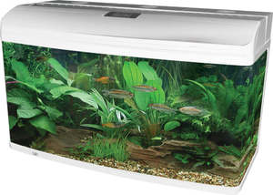 Aqua One AR980 AquaStyle Tank Gloss White 215L Aquarium