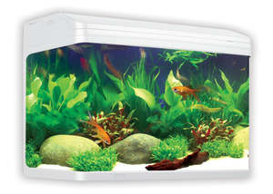 aquariums: Aqua One AR620 AquaStyle Tank Gloss White 90L For Freshwater