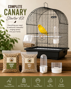 Complete Canary Starter Kit with Male Singing Canary and Cage