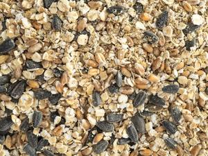 birdfeeding: Topflite Hen Health Tonic