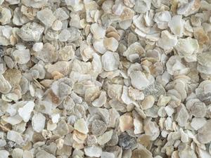 Topflite Oyster Shell Coarse Grit