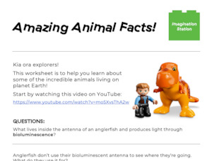Amazing Animal Facts! (Junior version)