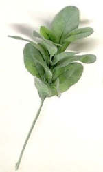 Wreaths Garlands And Flora: Green Lambs Ear